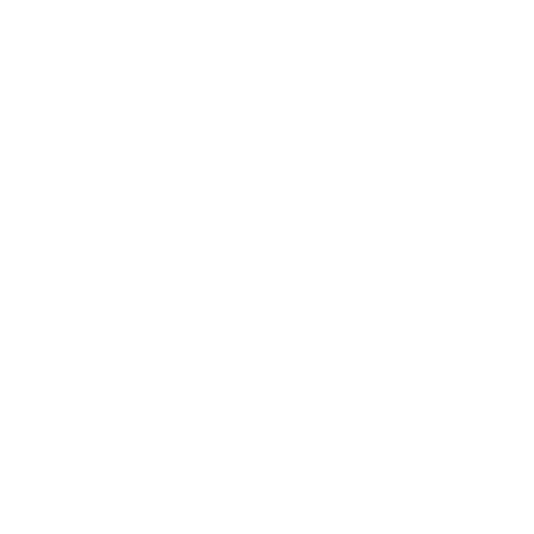 Pakistan Governement