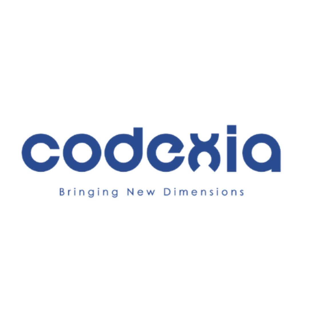 code logo