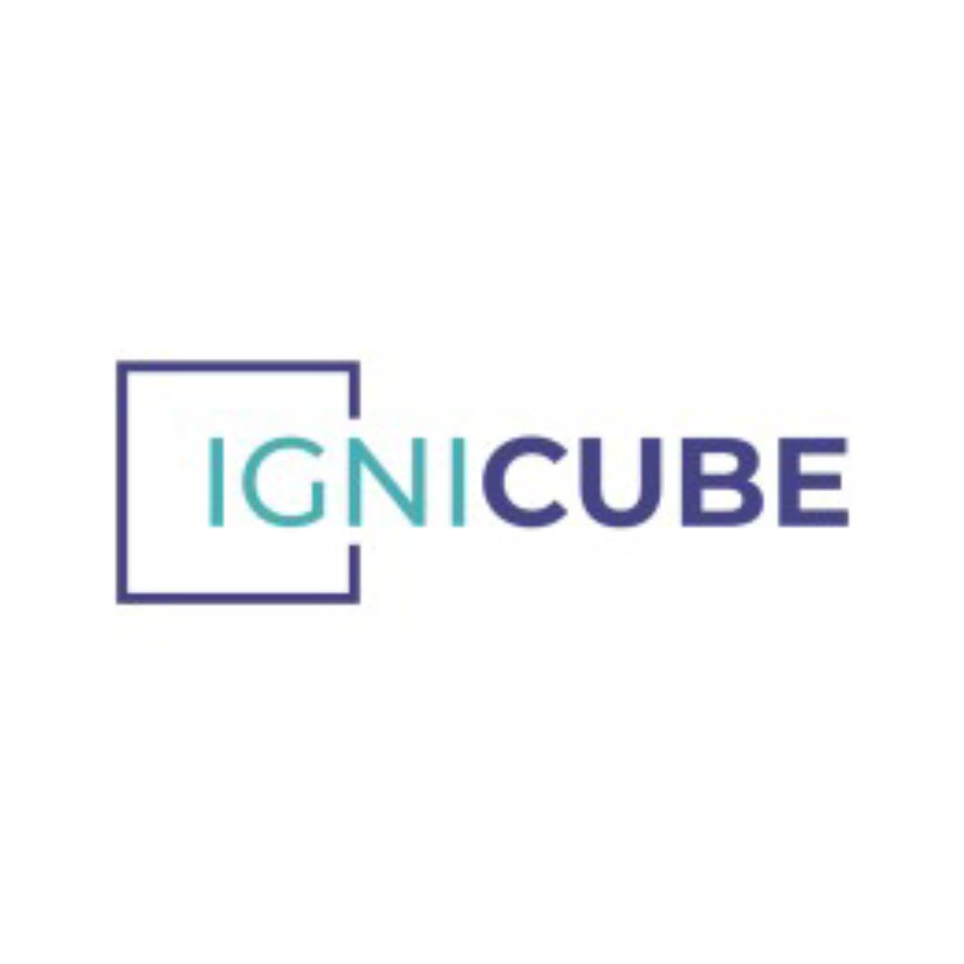 ignicub logo